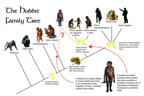 theolduvaigorge:Episode 10 Field Guide: The Hobbit – An Unexpected Discoveryby Matt Borths“Hobbits! 
