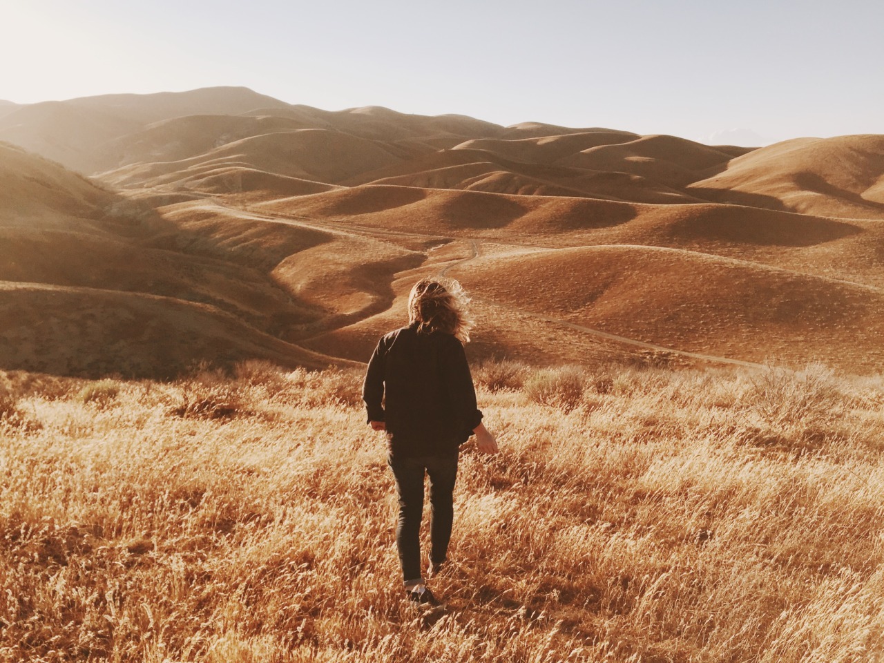 danielodowd:  http://zacharydomes.vsco.co/