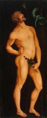 Porn Pics montair:Hans Baldung Grien, Adam, 1524(2007)