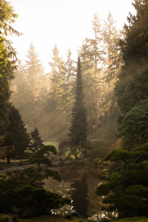 blacksunmagick: Pond from the Japanese Garden at the Bloedel Reserve