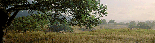 Main Menu Scenes In Red Dead Redemption 2 01/??