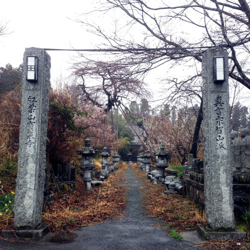 Kosuke Okahara has been visiting the towns and countryside around the Fukushima Daiichi plant since 