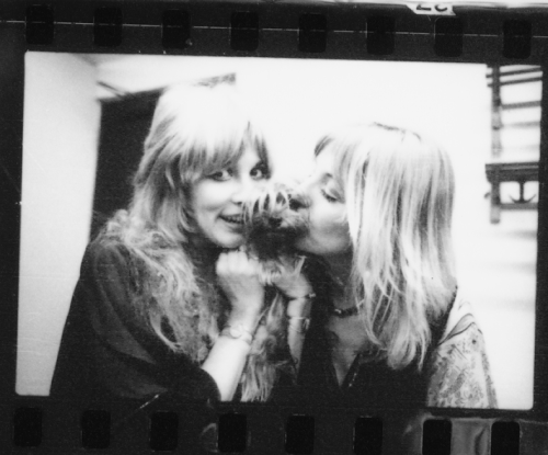 crystallineknowledge: Anon request: All pictures of Stevie, Chris & yorkie in 1975 Part 01 - Par