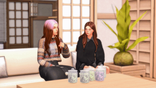 sims4legacy:I’ve been inactive for a couple of days so i bring a gif of Cierna &amp; Cece doing some