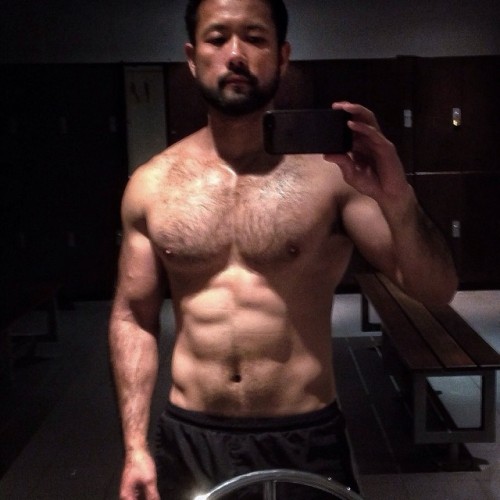 Big muscle, bear, stocky hk adult photos