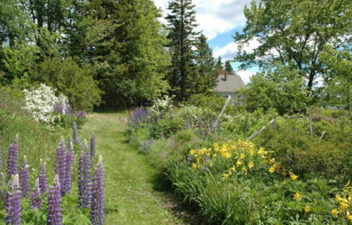 househunting:$895,000/3 br1,088 square feetCranberry Isles, ME
