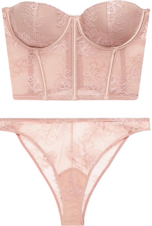 transparent-lingerie:fleur du mal bra (£250) and briefs (£45)