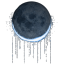 moonsblossoms