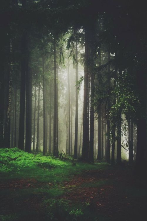 ob-li-vion:  ❤️ 