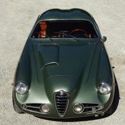 giantbeard:  AlfaRomeo  magnifica !!!! 