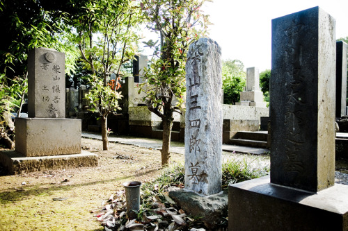 Yanaka Cemetery Tokyo / 2016 / Sony RX100m3