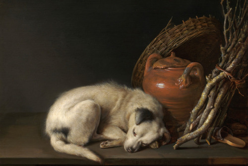 lionofchaeronea:Sleeping Dog, Gerrit Dou, 1650