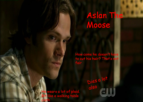 supernaturalshadowhunter:Can I just…?Aslan The MooseAslan The MooseAslan The MooseAslan The Moose