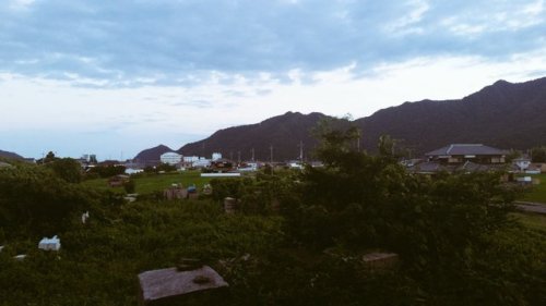 My balcony view. My area is very inaka-ish . There are a lot of local vegetable/fruit farms. I have 