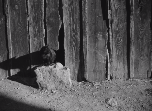 La Pointe-Courte (Agnès Varda, 1955)