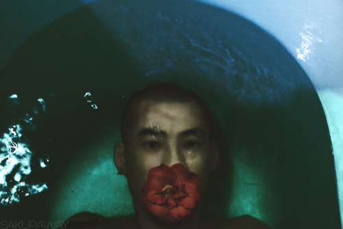 sakuraway25:  …… Model:X 