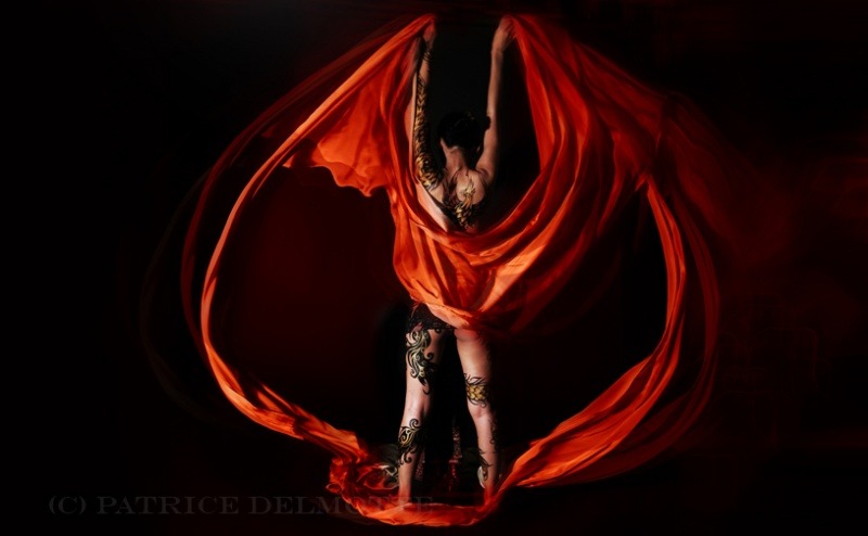 wolfdancer:  Dance of the Dragons By Patrice Delmotte 