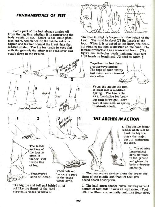 fucktonofanatomyreferencesreborn:  A delectable fuck-ton of feet references. [From various sources]