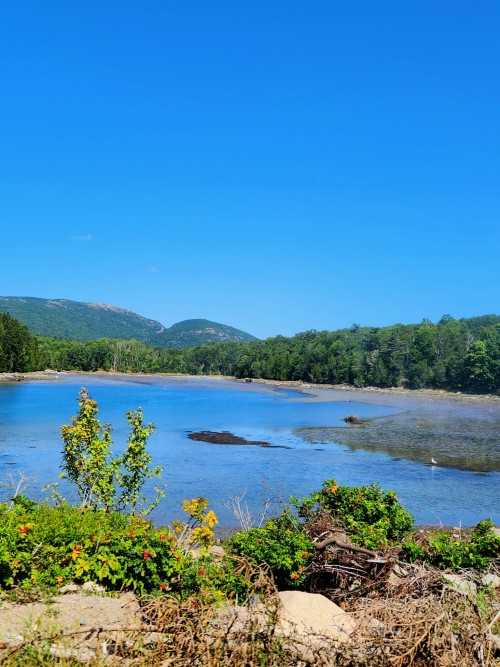 Reposting Today With Images Of My Vacation In New England! It's Really Beautiful Here And I Miss Writing