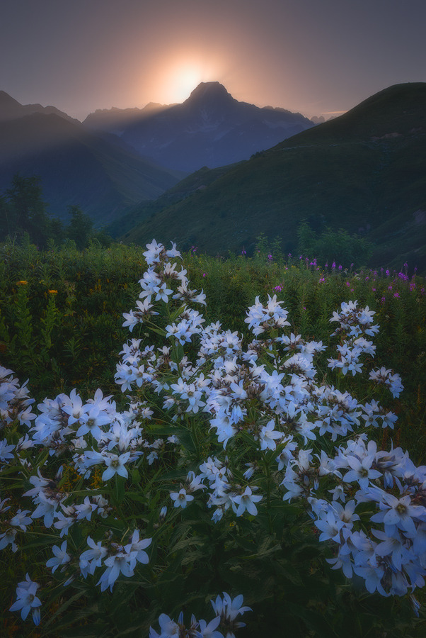 enchanting-landscapes:  sozel - Восход  
