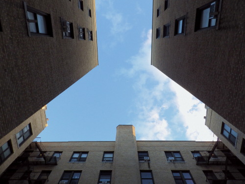 wanderingnewyork:  Looking up in a Jackson Heights courtyard.