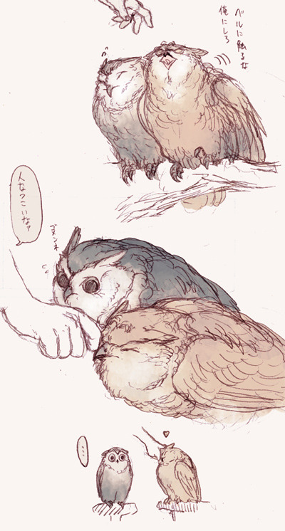 unibirth:  ライベル梟まとめ