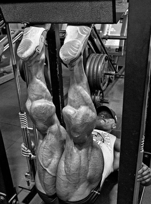 aspiring1:  Legs day press