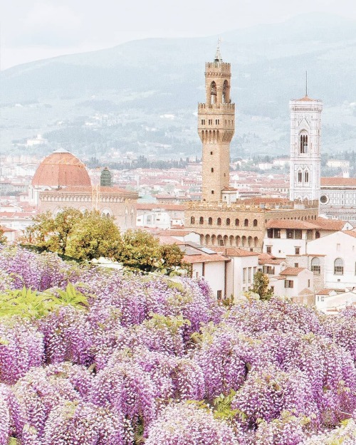 vivalcli:View of Firenze from the Bardini Gardens | Gabriele Colzi