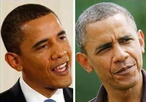 eammod:jackiereblogsthis:tastefullyoffensive:Before and after presidency. (via floppypickles)@eammodOh god that made me chuckleYou wanna be Max, Scruffs? Vixy could be Furiosa or something. :p