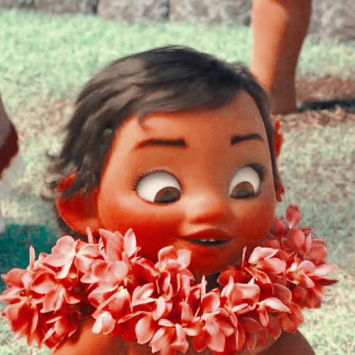 animationsedts