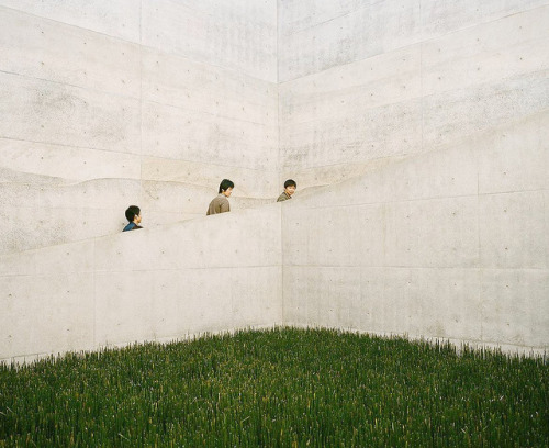 untrustyou:  At Chichu Art Museum 