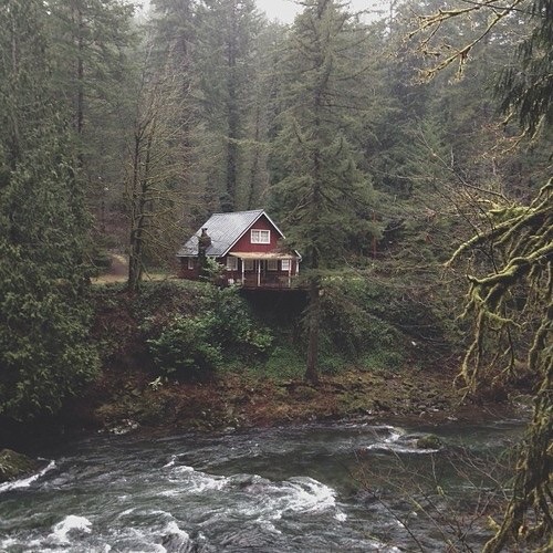 http://allergictoreality.tumblr.com/post/101351468667