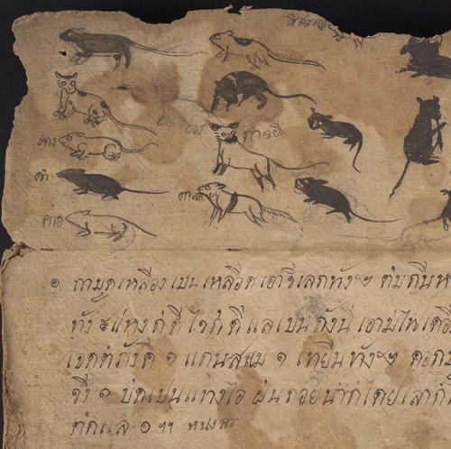 The first page of this Thai astrological and medical manuscript displays some gestural studies of ca