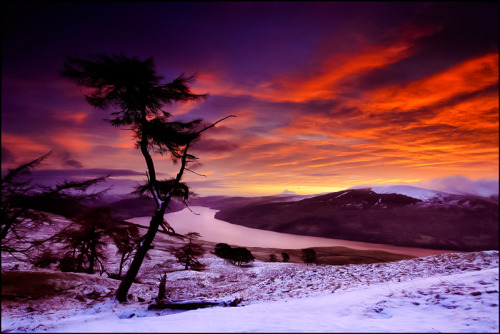 djferreira224:Lawers, Scotland, GBPhoto ~ Angus Clyne