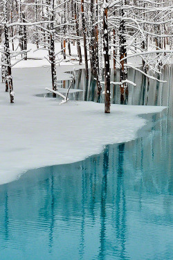 atraversso:   Blue Pond & Spring Snow,Hokkaido