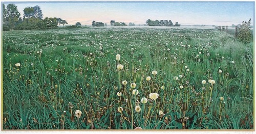 Lheedermade   -   Siemen Dijkstra,Dutch,b.1968-  Colour woodcut, 38 x 72 cm.