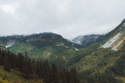 Mount Rainier Park