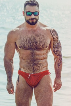 fitbearcatcher:  hrryhardon:  http://hrryhardon.tumblr.com/archive  Hot beefy furpect bod with small package  😍
