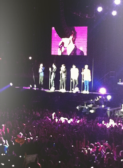 blamestyles:  Flying over the crowd during Change My Mind 