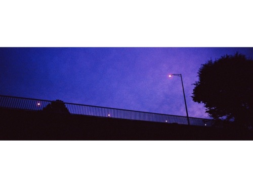 Losing GroundNikon PC 35mm/f2.8 Shift Lens + Hasselblad X-pan + Cinestill 800T