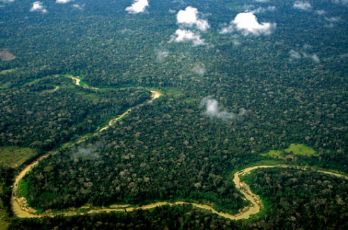 The Amazon Rainforest in the Brazilian state of Acre.