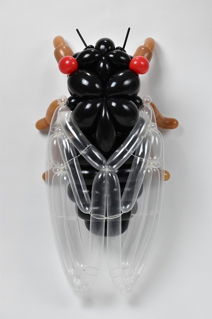 isopresso: 蝉 cicada 2017.5.28