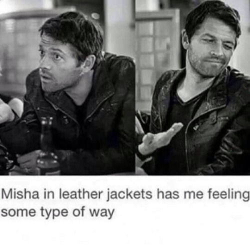 hannahruth990: Some Misha tumblr posts ☺️ Damn I love that man