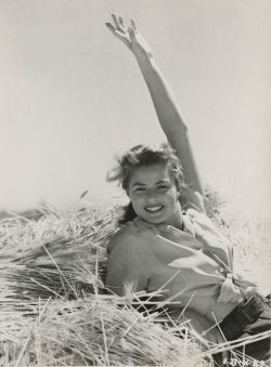 classichollywoodcentral:  Ingrid Bergman