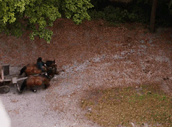 polyportamis:Favorite Portamis Scene as voted by you!01. “Now are you going to try and tell me you d