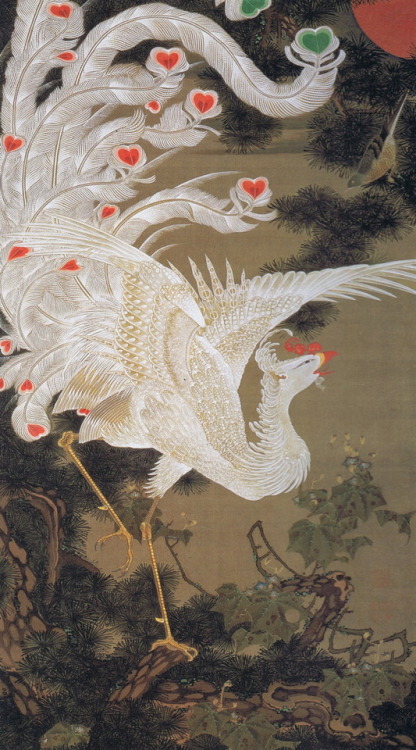 artfoli:White Phoenix on Old Pine from the Colourful Realm of Living Beings, Edo Period, by Itō Jaku
