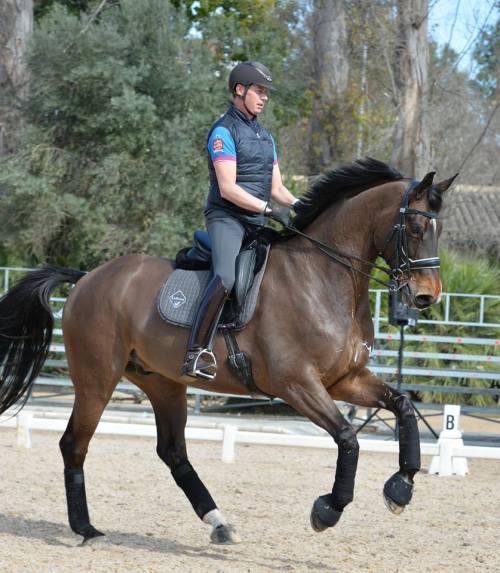 kimblewick: The stunning Nip Tuck working with Carl Hester in Spain. A wonderful testament to w