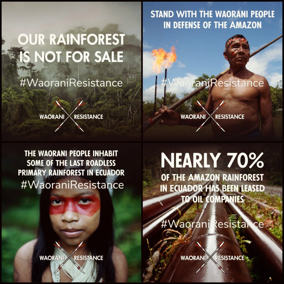softshellsailor: eternalistic:  (via Our Rainforest Is Not For Sale)  Dear Global
