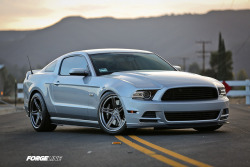 ford-mustang-generation:  Mustang GT on SC3C Wheels by Forgeline Motorsports on Flickr.