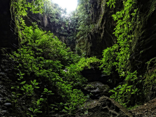 Sandstone Collapse Chamber, Razorback Point, Punakaiki by New Zealand Wild on Flickr.